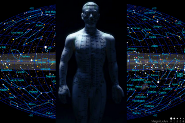 Sucre & comportements