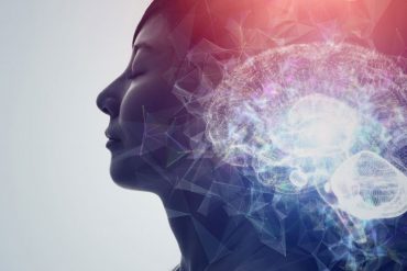 Sucre & comportements