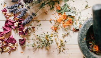 A beautiful still life of dried herbs and flowers accompanied by a mortar, perfect for natural healing themes.