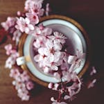 Top view of cherry blossoms artistically arranged in a cup on wooden table.